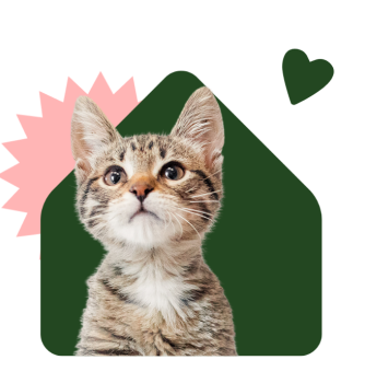 Warehouse rent fundraising